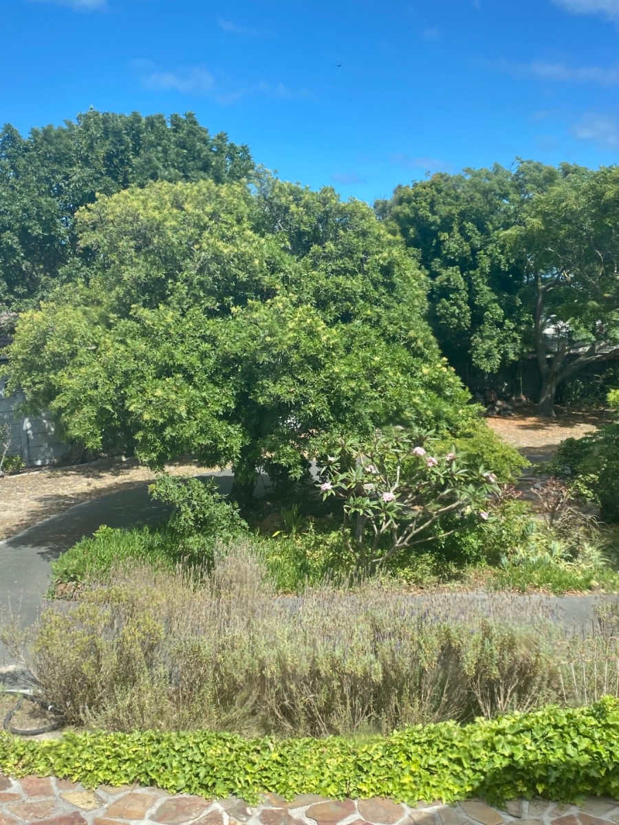 4 Bedroom Property for Sale in Table View Western Cape